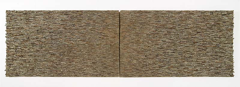 Streamline_No._1_2005_Shona_Wilson_300x90x7cm_twigs_on_board_.jpg